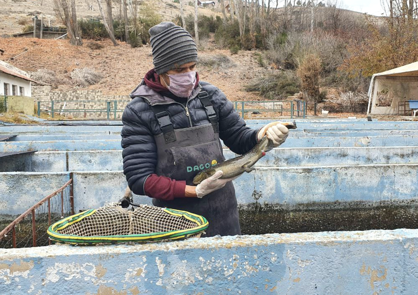 Río Negro potencia la acuicultura para generar valor y empleo en la región